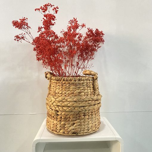Giỏ đựng cây cối màu tự nhiên
