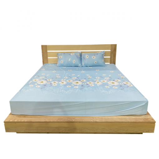 Giường ngủ Elizabeth 1,6m - Gỗ tần bì màu tự nhiên